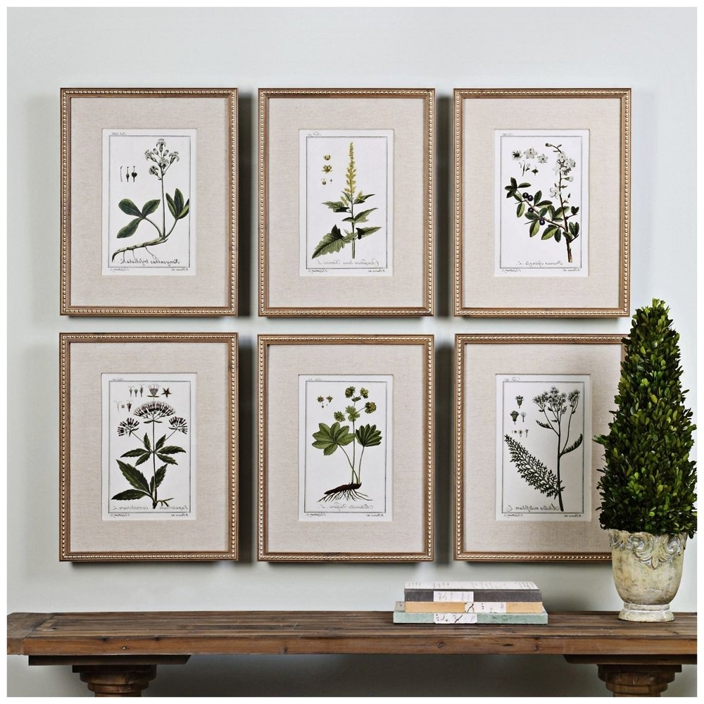 15 Best Collection Of The Art Of Nature: A Guide To Framed Botanical Prints with regard to Ginkgo Botanic Framed Wall Art