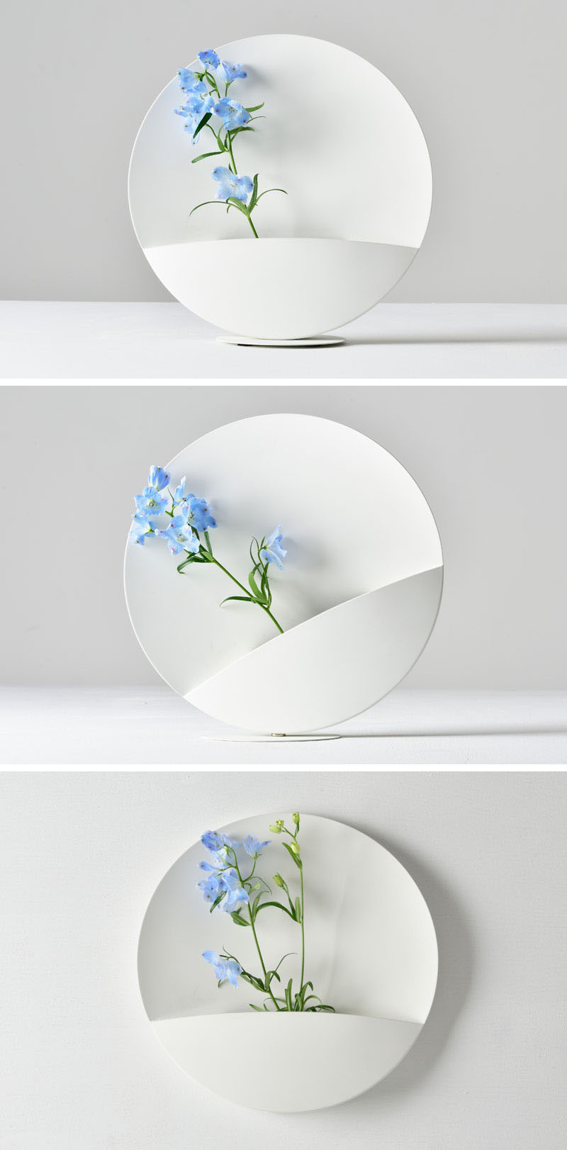 A Strong Magnet Lets Users Change The Position Of This Vase with Why the Eleven Inch Flower Disc is Becoming a Modern Design Staple