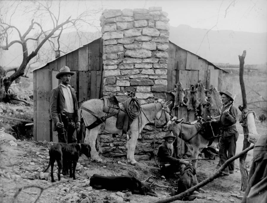American Frontier: 48 Historic Photos Of Life In The Real "Wild West" within Buffalo Head