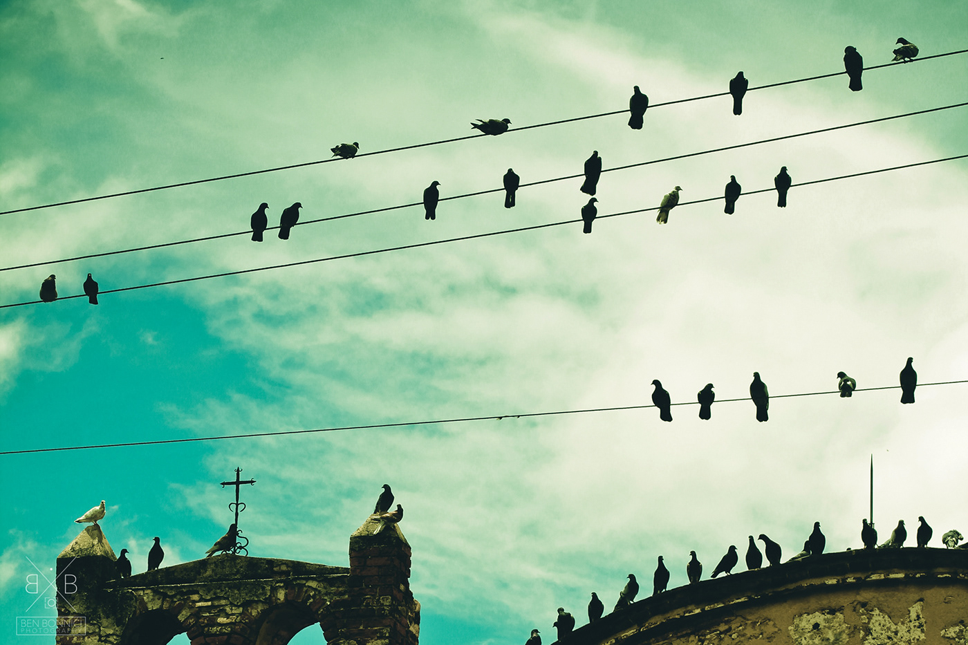Birds On Wire On Behance pertaining to Yosemite Home Decor Birds On A Wire Iv Decorative Art