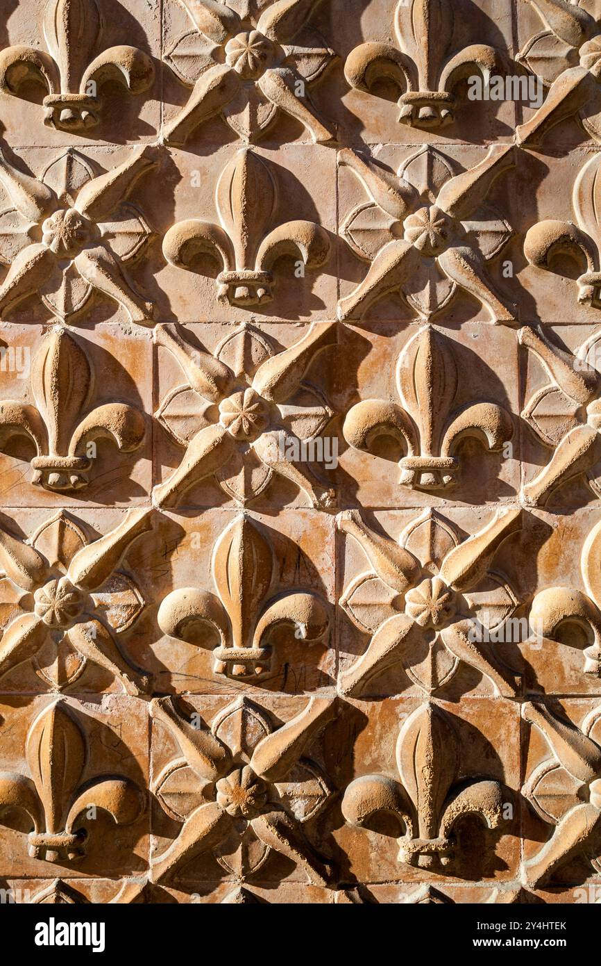 The Hidden Geometry And Botanical Motifs That Define Historic Wall Reliefs