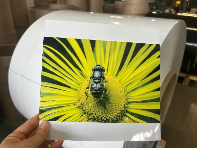 From Raw Aluminum to Vibrant Nature Scenes the Process of Metal Art Printing