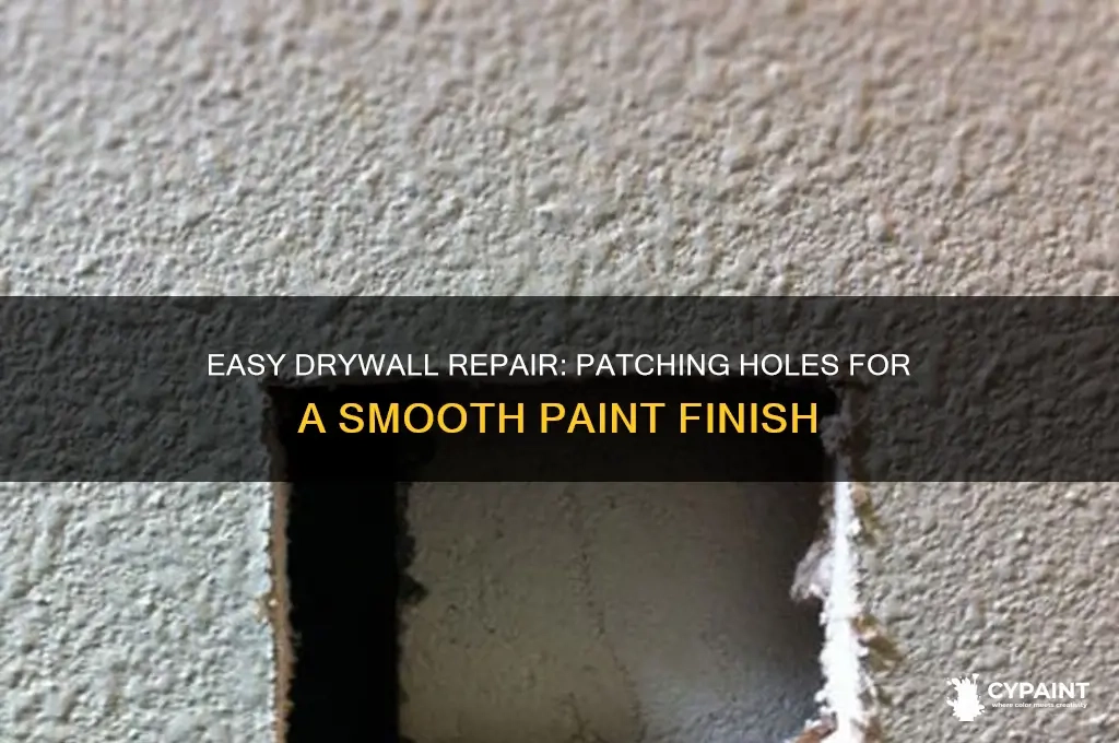 Easy Drywall Repair: Patching Holes For A Smooth Paint Finish | Cypaint in Banish Gizmo Blemishes On Your Walls