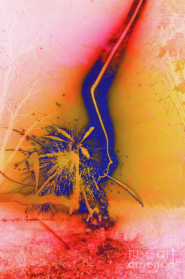 Fireworks 235 Vibrant Abstract Nature Scene Digital Art By Chris ... for From Raw Aluminum to Vibrant Nature Scenes the Process of Metal Art Printing