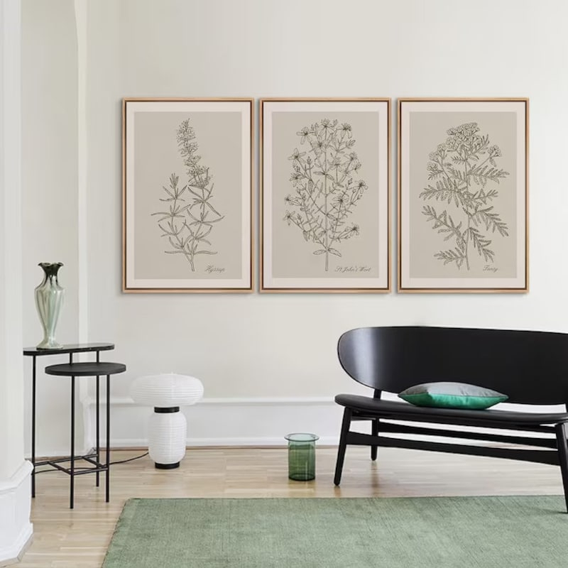 What Makes Framed Botanical Prints Such an Enduring Choice for Minimalist Decor