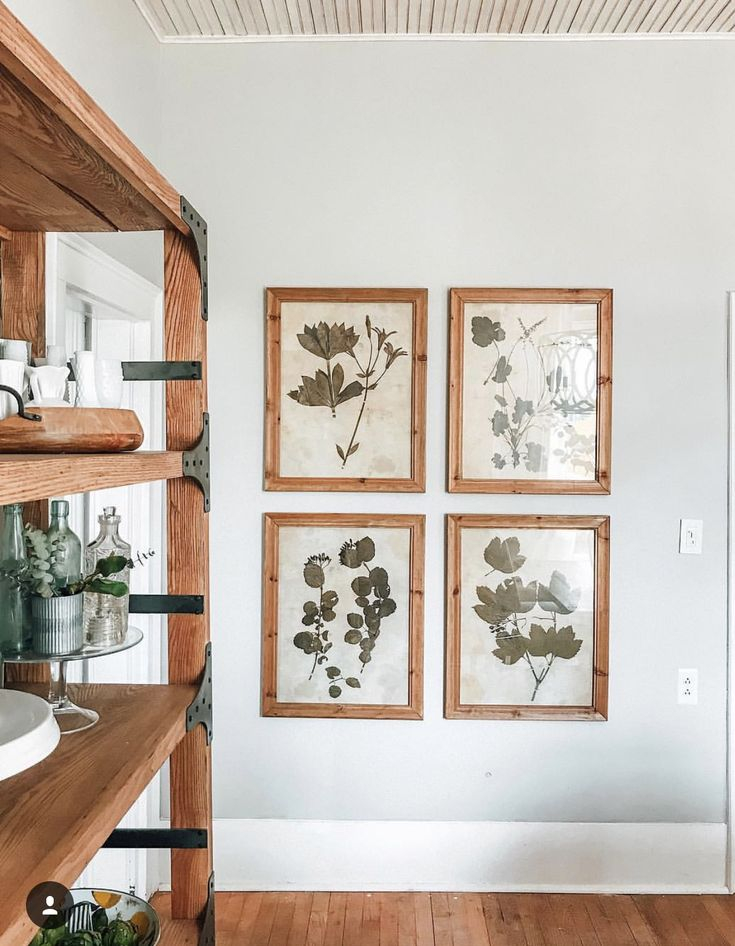 Framed Botanical Prints | Home Decor, Framed Botanical Prints, Decor throughout Ginkgo Botanic Framed Wall Art