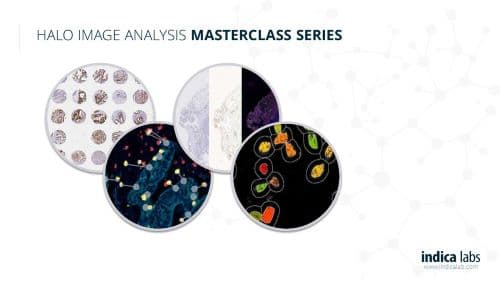 Halo® Image Analysis Masterclass Webinar Series 2020 - Indica Labs in Modern Glass And Metal Wall Sculpture 3D "Arctic" Ap, 24"X19"X4"