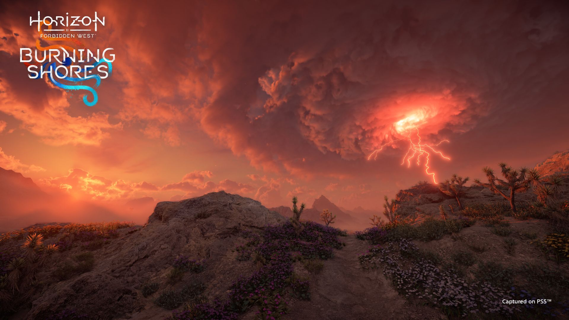 Horizon Forbidden West: Burning Shores – Stunning New Images Tease ... throughout Colorful Sky And Dark Rocky Sydney Coast, Seashore Round Wall Art, 11"