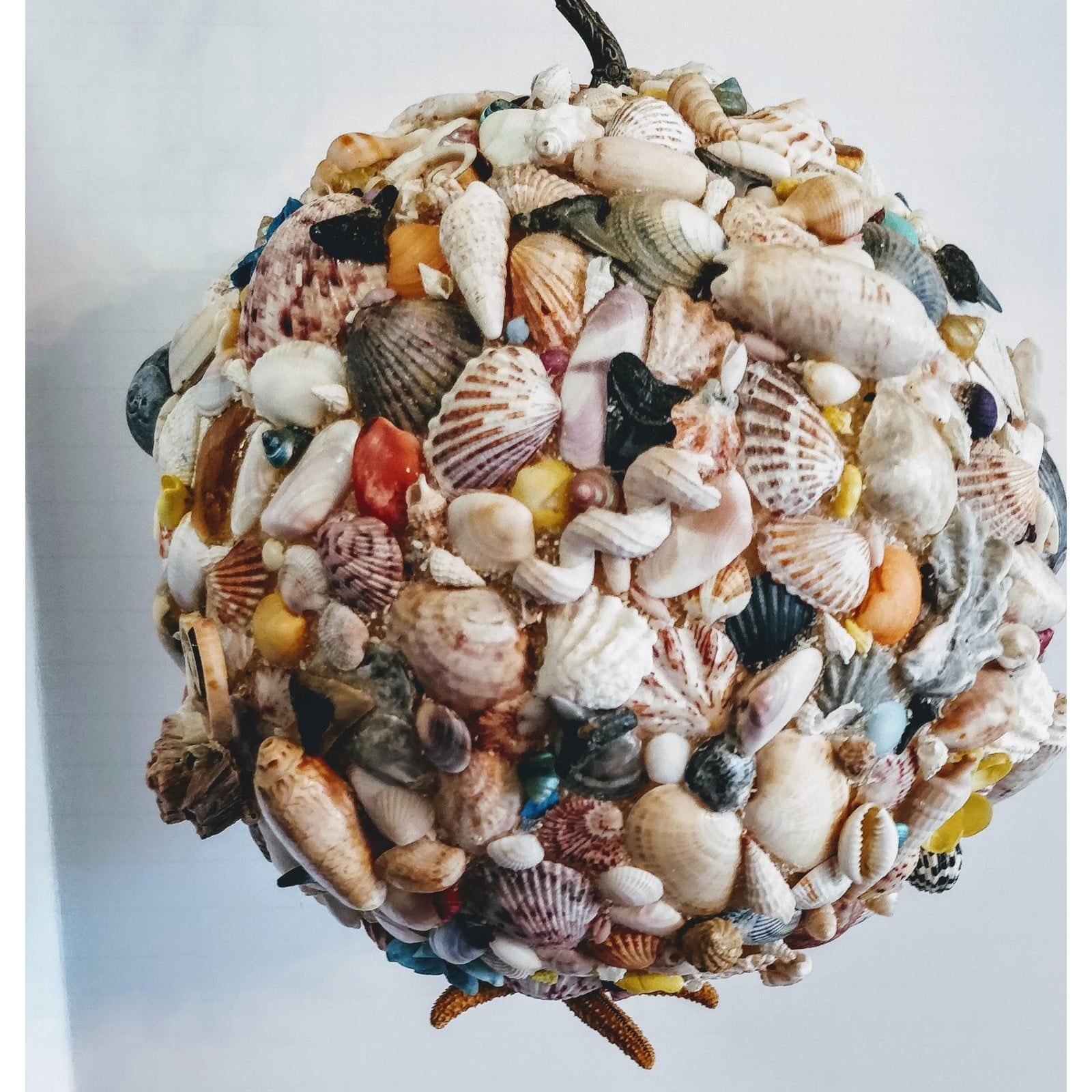 What Makes 11 Inch Coastal Disc Sculptures Such Powerful Reminders of the Sea