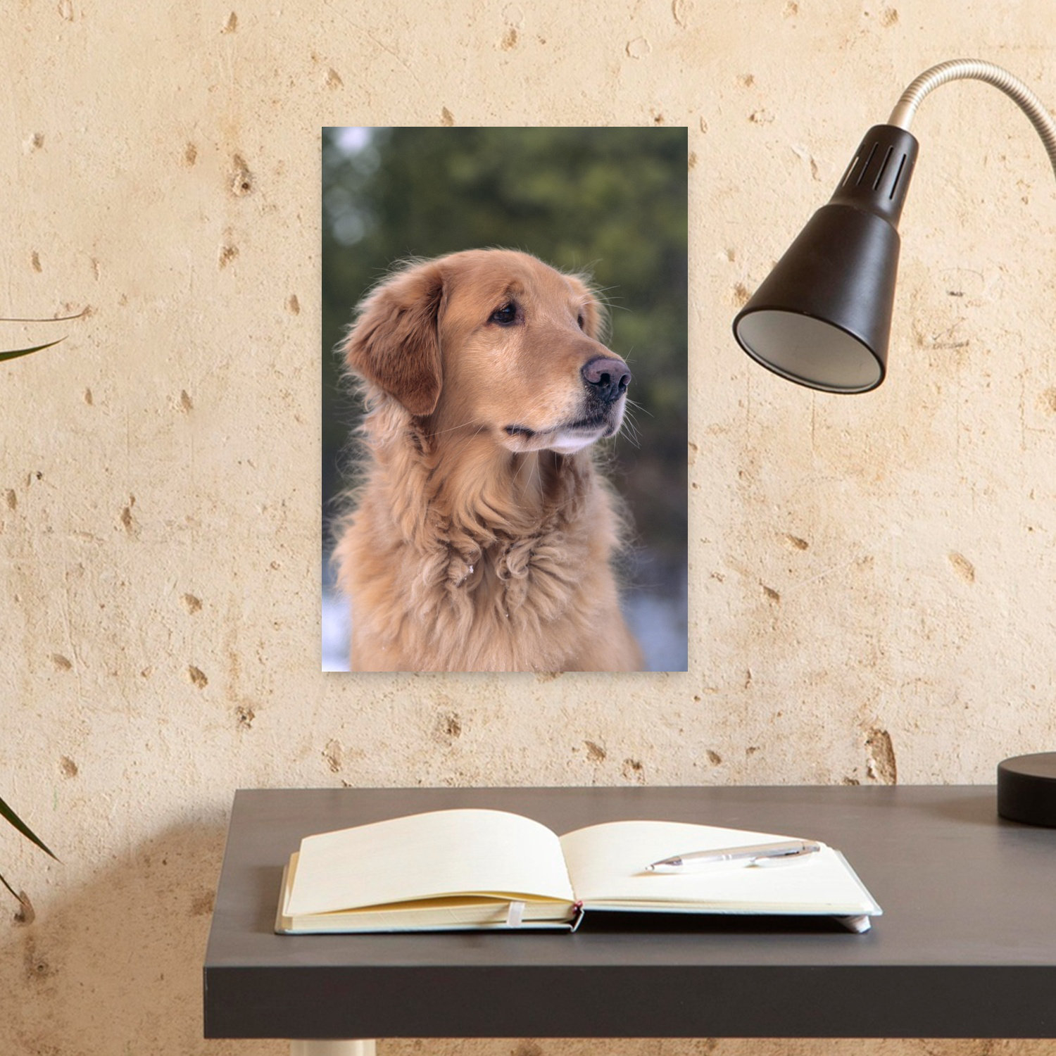 Exploring The Emotional Appeal Of Golden Dog Portraits In Contemporary Interior Design Trends For 2026