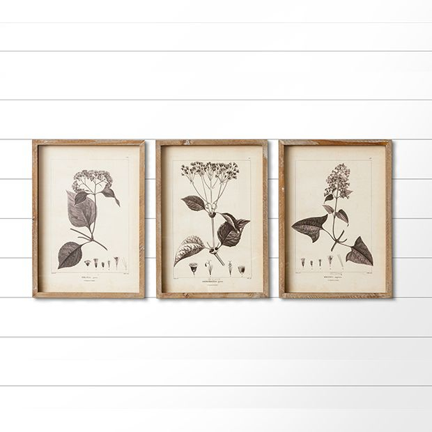 Minimalist Framed Botanical Prints Set Of 3 | Antique Farmhouse pertaining to What Makes Framed Botanical Prints Such an Enduring Choice for Minimalist Decor