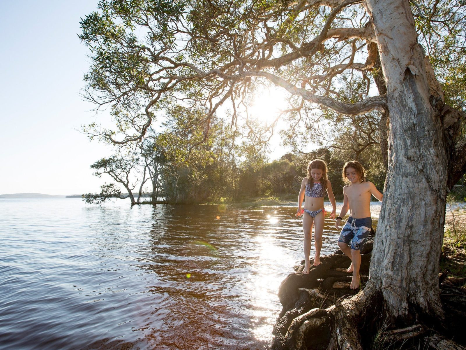 Nrma Myall Shores Holiday Park | Accommodation | Bombah Point | Mid ... pertaining to The Artistic Journey Behind Preserving the Vibrant Horizons and Rugged Shores of New South Wales
