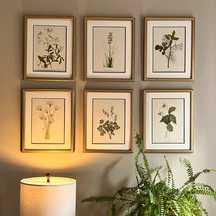Original Prints | Framed Botanical Prints, Botanical Gallery Wall ... intended for What Makes Framed Botanical Prints Such an Enduring Choice for Minimalist Decor