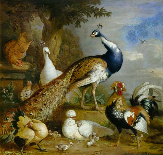 Peacock, Peahen And Poultry In A Landsca - Tobias Stranover As Art ... inside How Contemporary Painters Are Overcoming the Hardest Parts of Peacock Alley Technique