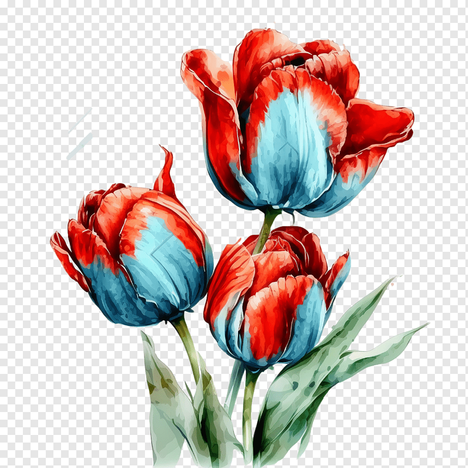 Why Red Tulips on Light Blue Watercolor Wall Art Transforms Small Spaces in 2026
