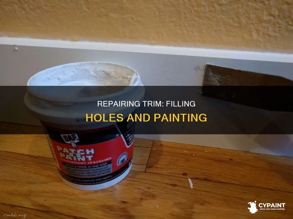 Repairing Trim: Filling Holes And Painting | Cypaint for Banish Gizmo Blemishes On Your Walls