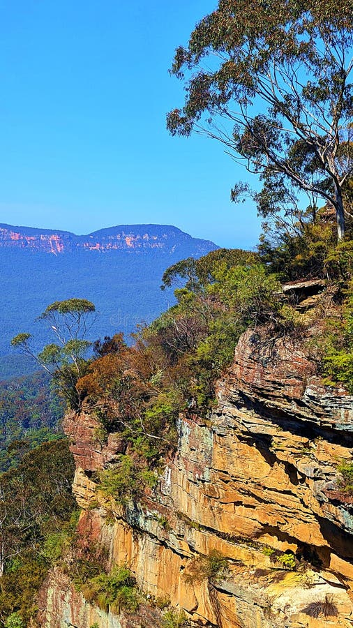 The Artistic Journey Behind Preserving the Vibrant Horizons and Rugged Shores of New South Wales