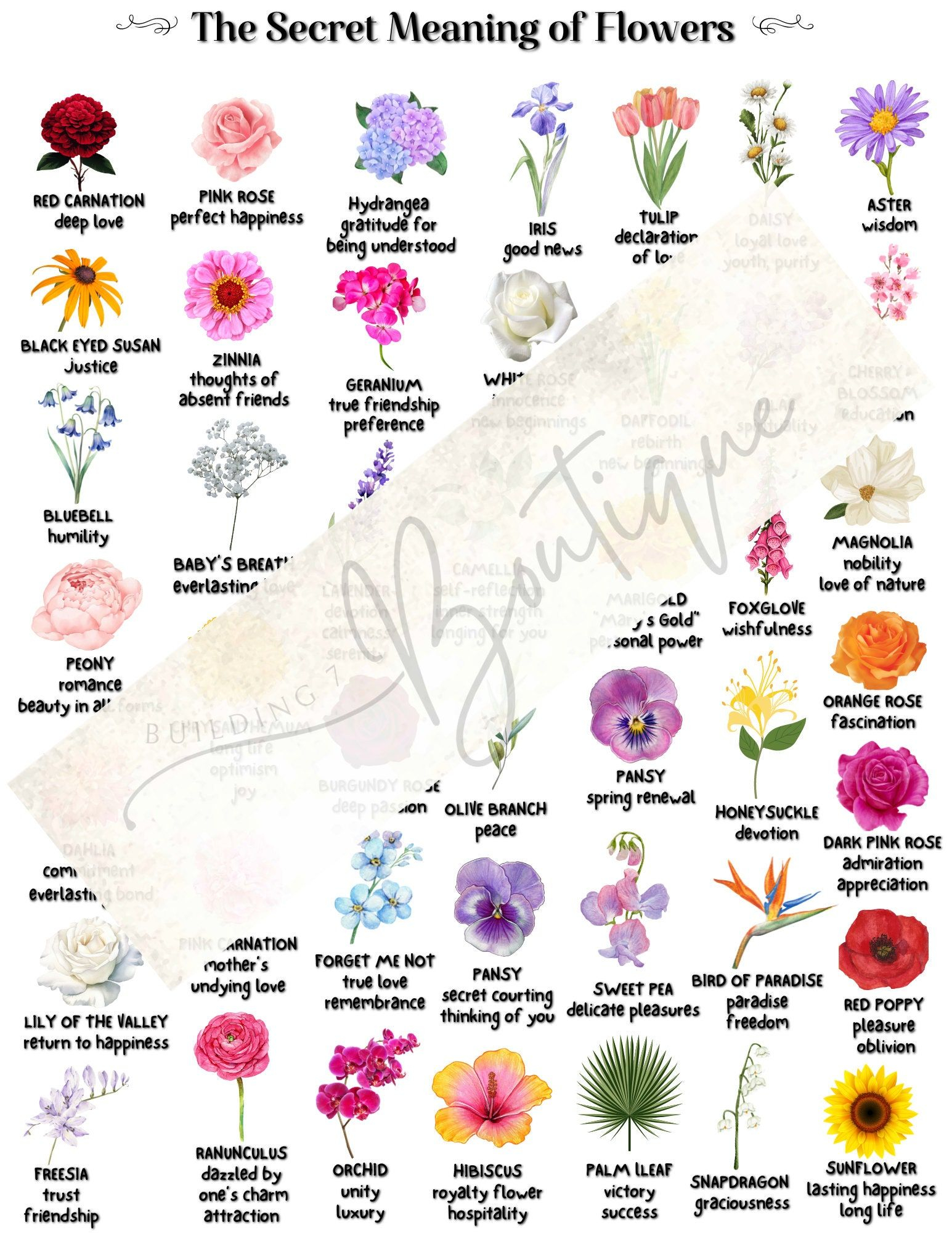 The Secret Meaning Of Flowers Botanical Symbolism Meaning Of Flowers ... regarding The Hidden Symbolism and Meaning Inside Modern Abstract Flower Art Movement