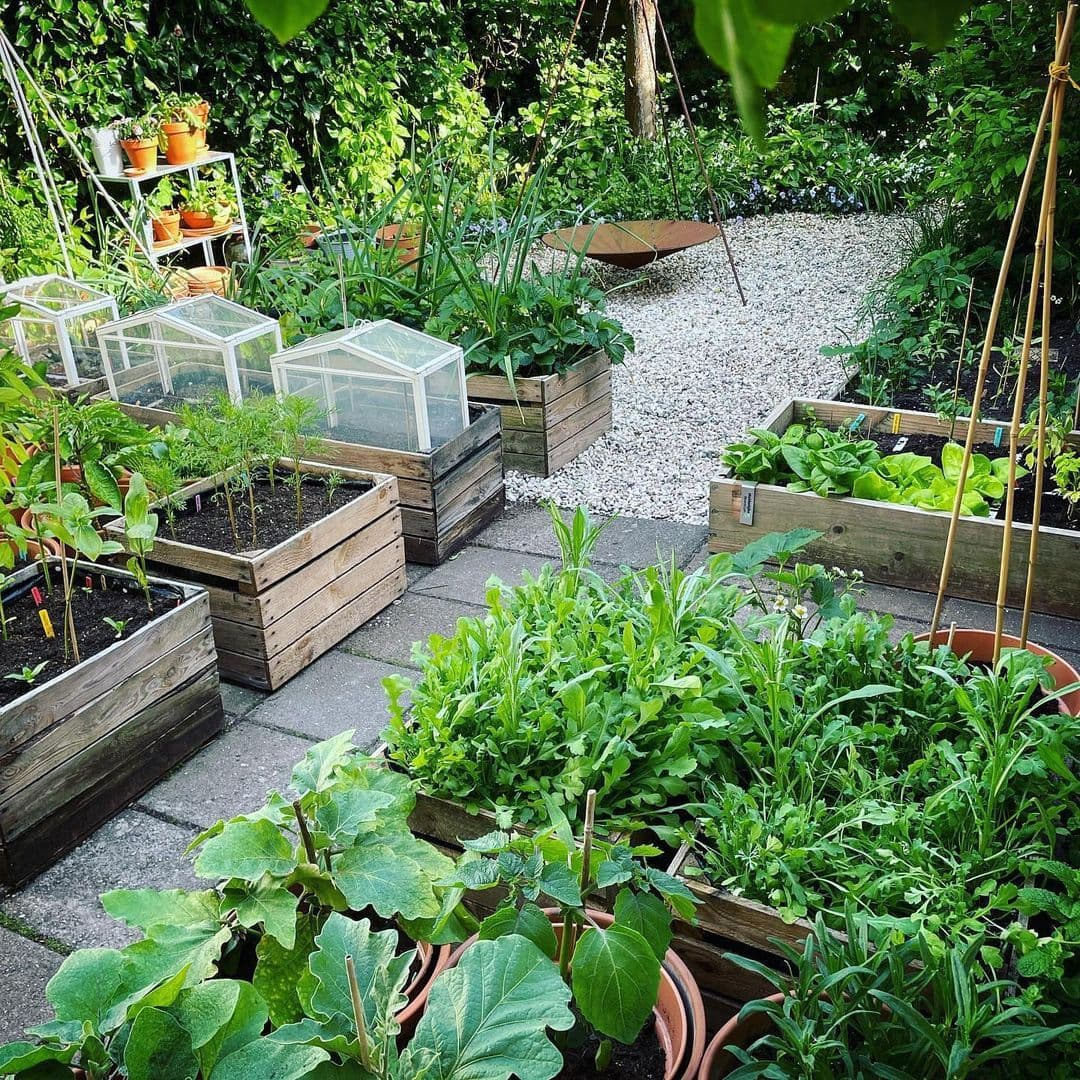 The Art of Choosing Statement Pieces for Your Garden Layout