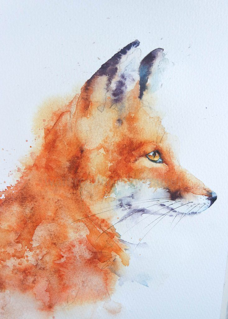 The Untold Story of the Artist and the Real Inspiration Behind Fox and The Finch
