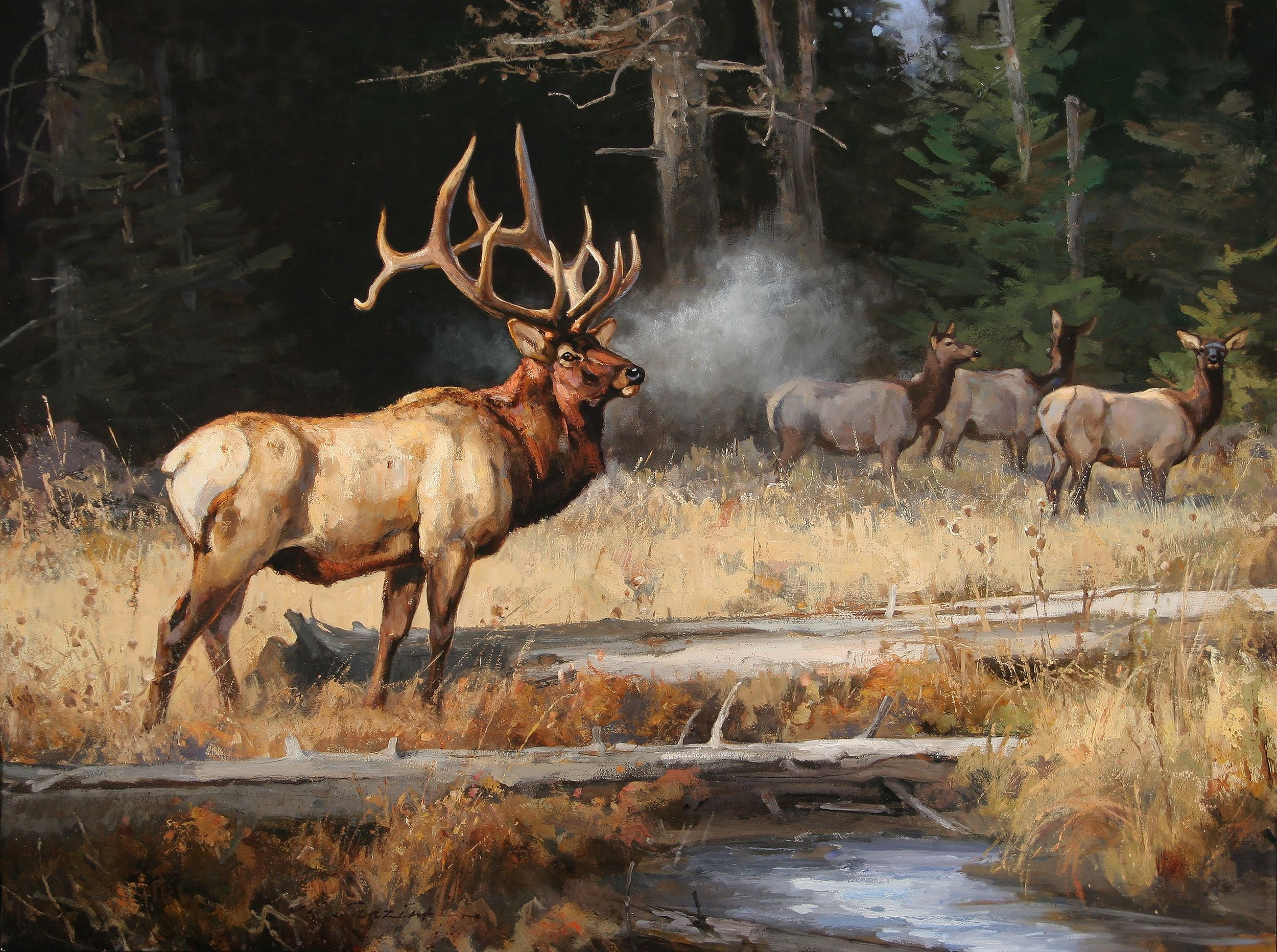 Wild Animal Artwork At Robert Speirs Blog intended for Mercana White Tail Ii Oil Painting
