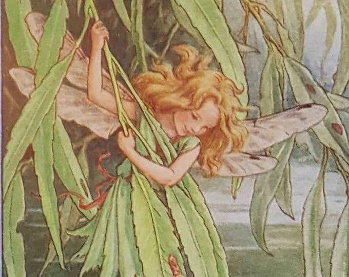 Flower Fairies Mounted The Willow Tree Fairy Cicely Mary Barker 1930S ... inside Design Toscano Willow Fairy Plaque