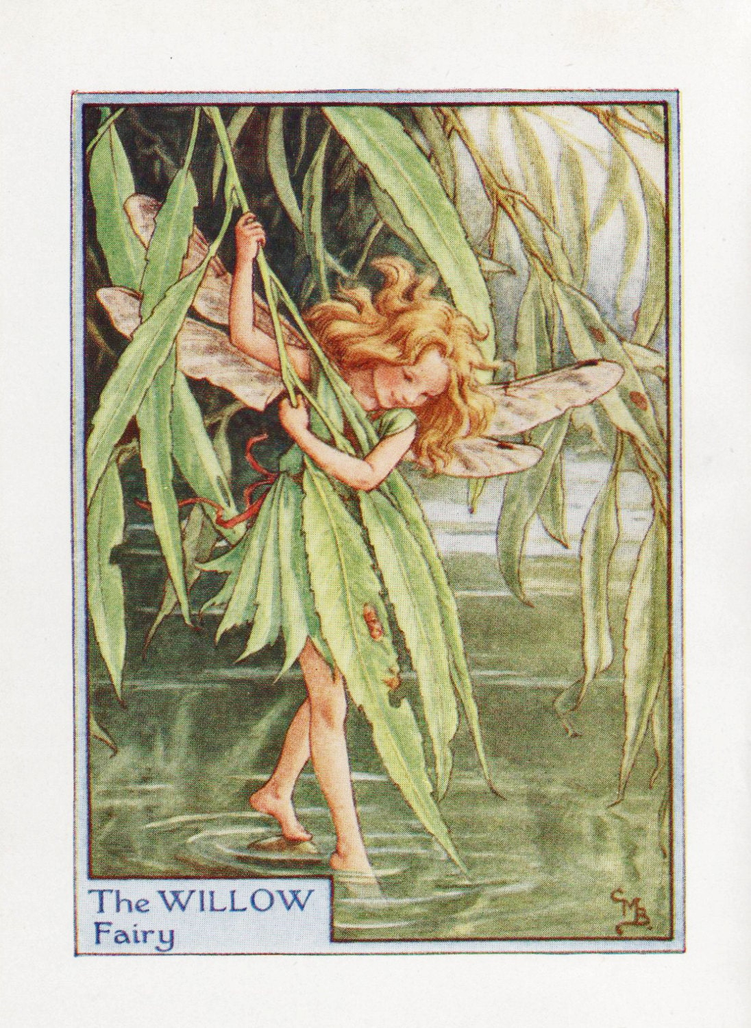 Flower Fairies: The Willow Fairy Vintage Print C1930 By Cicely - Etsy with Design Toscano Willow Fairy Plaque