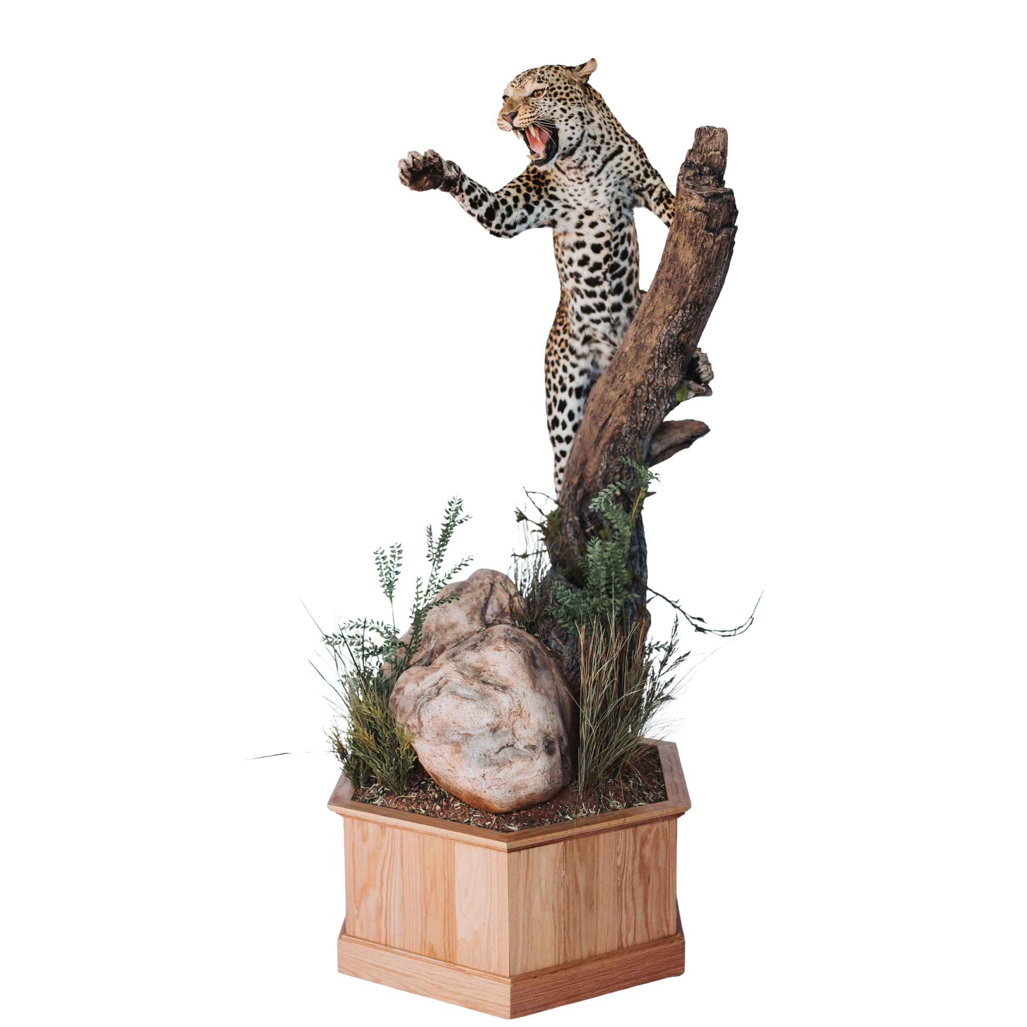 Leopard for Capturing Fluid Motion Why Artisans Are Obsessed With The Prowling Leopard Statue In 2026