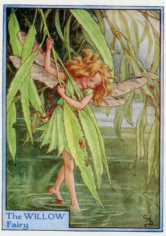Willow Flower Fairy Vintage Print 1950'S Cicely Mary | Etsy | Fairy Art ... regarding How Artist Cecilia Brought the Willow Fairy Plaque to Life
