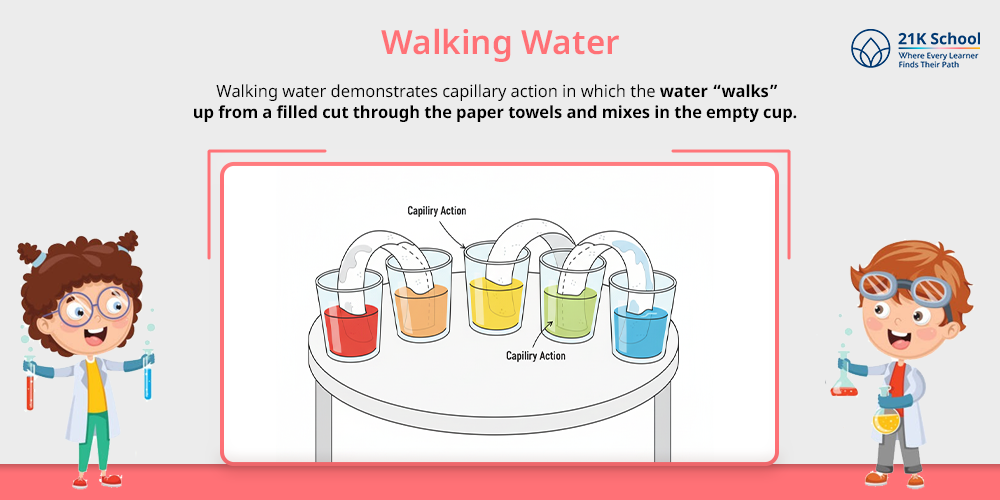15 Science Experiments With Water For Students inside Exploring The Science And Wonder Behind Walking Water Experiments For Early Childhood Learning