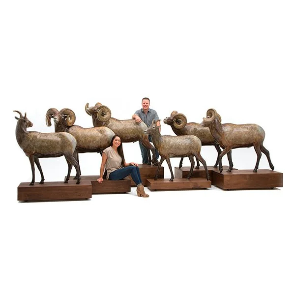 Desert Bighorn Sheep Herd - Lifesize Collection — Rowe Fine Art Gallery for Sheep Resin Horn Wall Mount