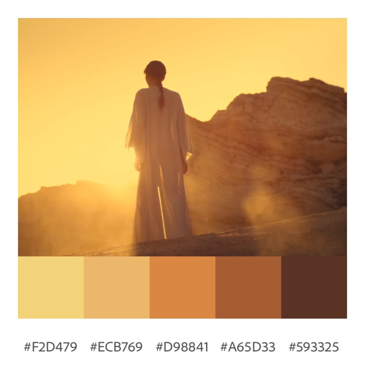 Dune (2021) | Dune Colour Palette, House Atreides Colors, Tatooine ... within Exploring Soft Color Palettes with the Safavieh Dune Buggy Triptych Wall Art