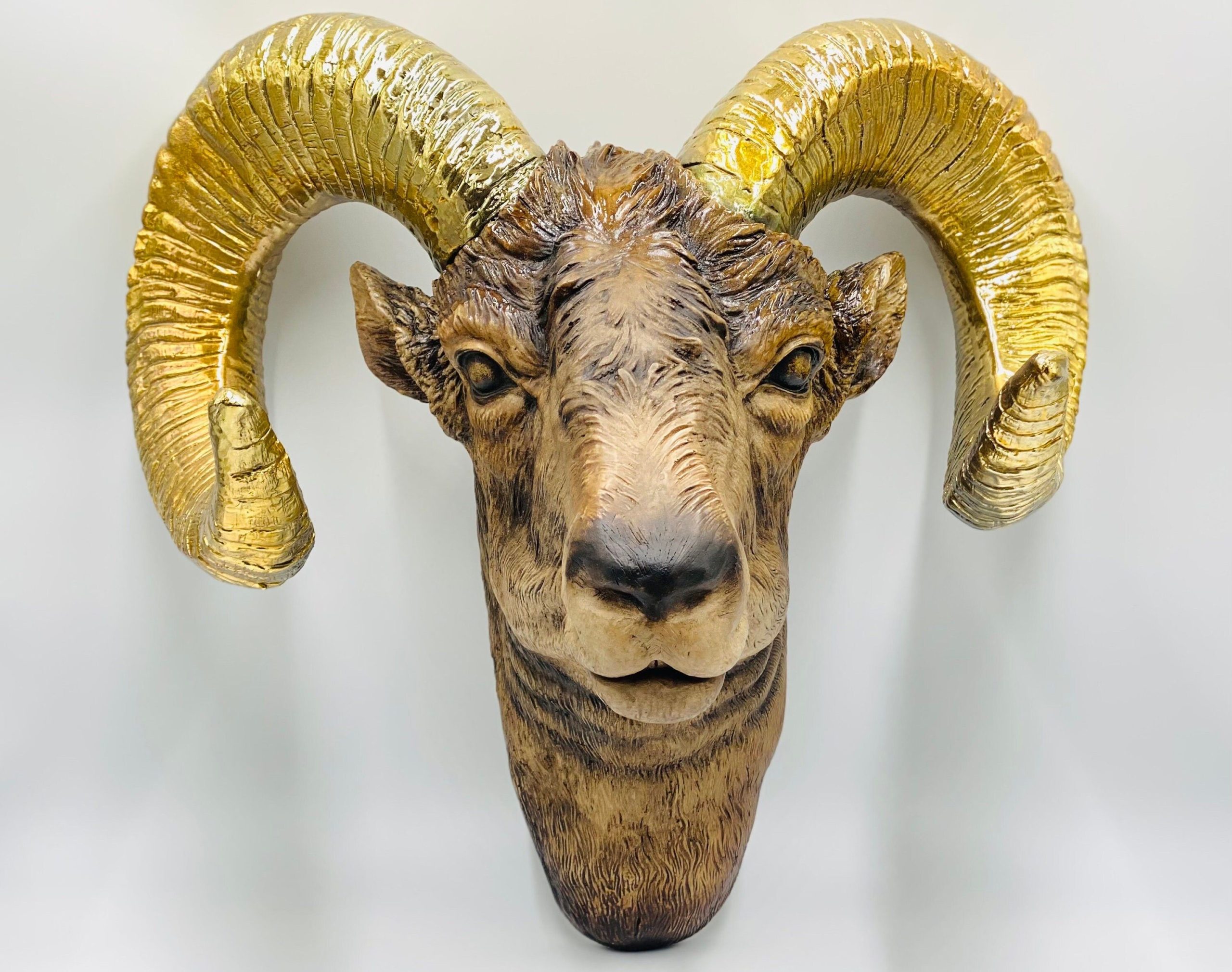 Natural Ram Head Wall Mount With Chrome Plated Gold Horns Xl Ram ... in The Craftsmanship Behind Cold Cast Polyresin Bighorn Sheep Wall Sculptures