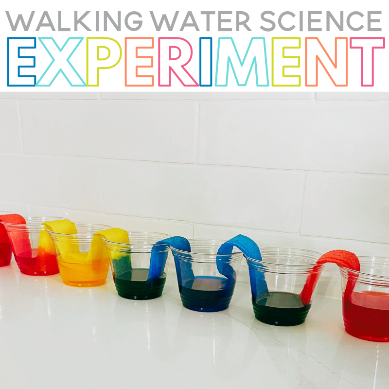 Walking Water Experiment For Kids - Sarah Chesworth regarding Exploring The Science And Wonder Behind Walking Water Experiments For Early Childhood Learning