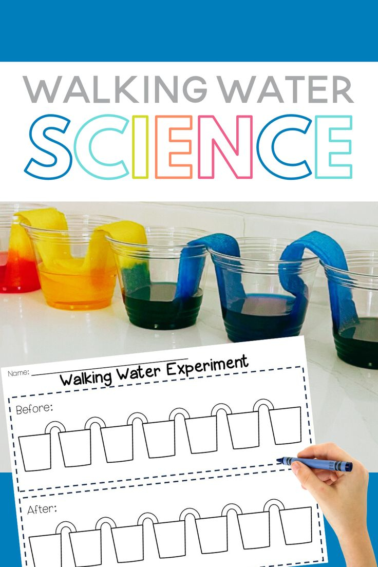 Walking Water Experiment For Kids | Walking Water Experiment, Water ... intended for Jumping Rainbow