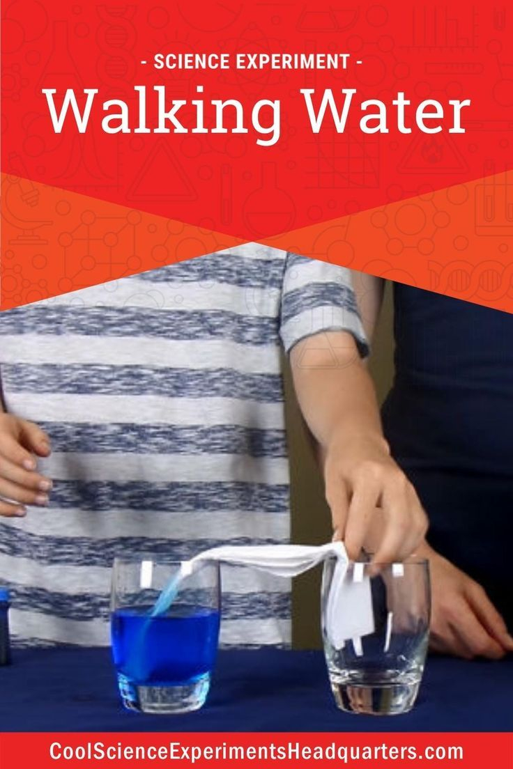 Walking Water Science Experiment – Artofit with regard to Exploring The Science And Wonder Behind Walking Water Experiments For Early Childhood Learning