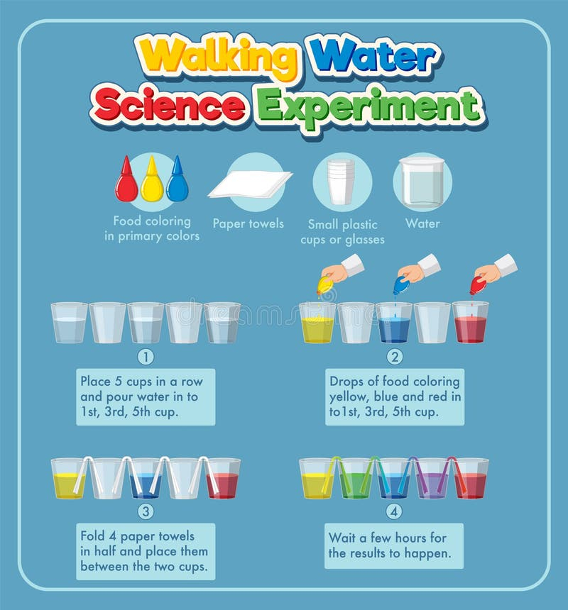 Walking Water Science Experiment Stock Vector - Illustration Of Drawing ... within Jumping Rainbow