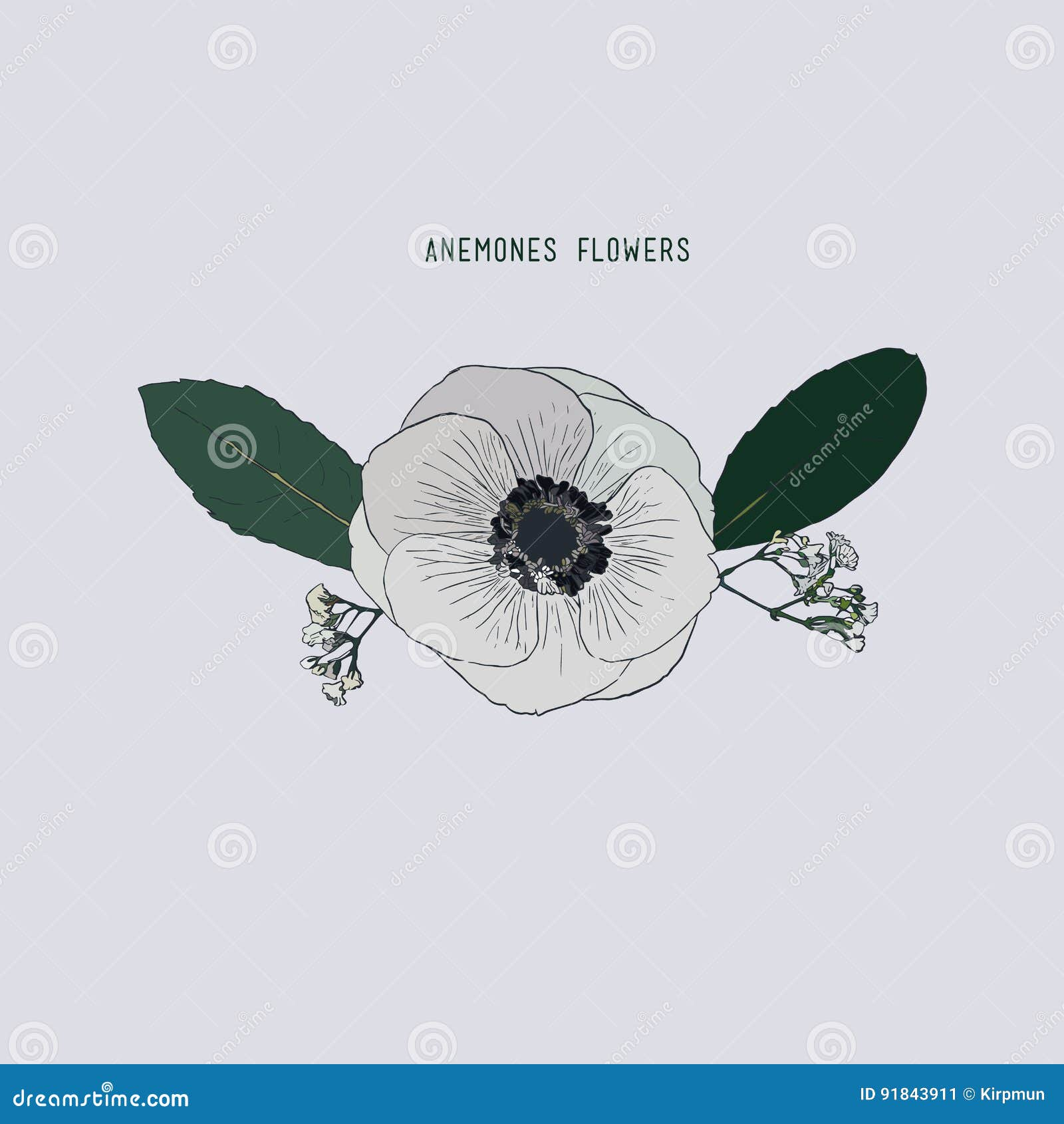 Anemones Flowers , Hand Drawn Sketch Line Art. Stock Vector ... within Beautiful Blue Anemone Sketch, Floral Disc Metal Artwork, 11"