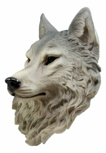 Placement and Care Tips for Your Remus Gray Wolf Head Mount Preserving Its Beauty