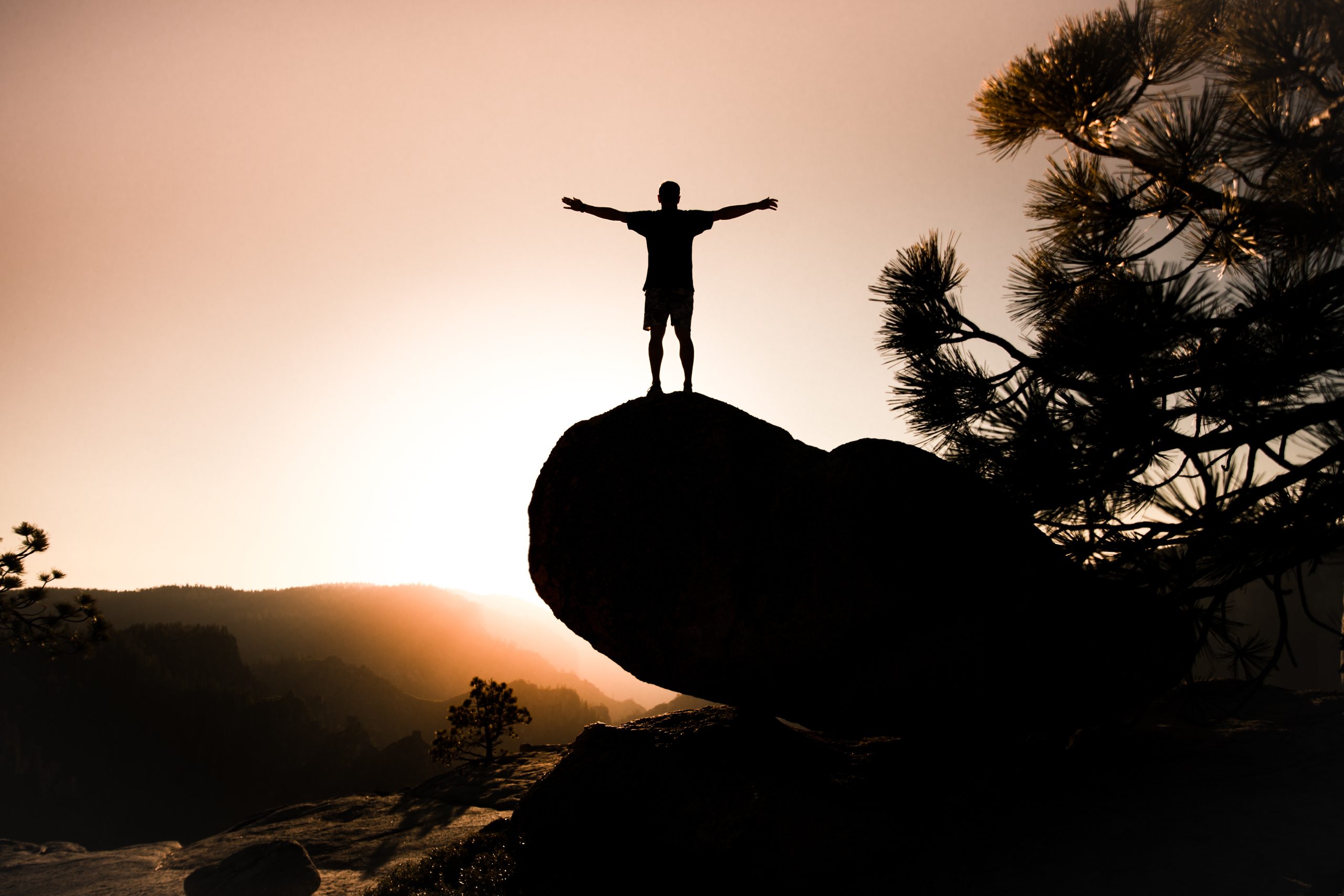«Embrace» Hd Wallpapers intended for Embracing Wallpaper a Journey from Hesitation to Home Harmony