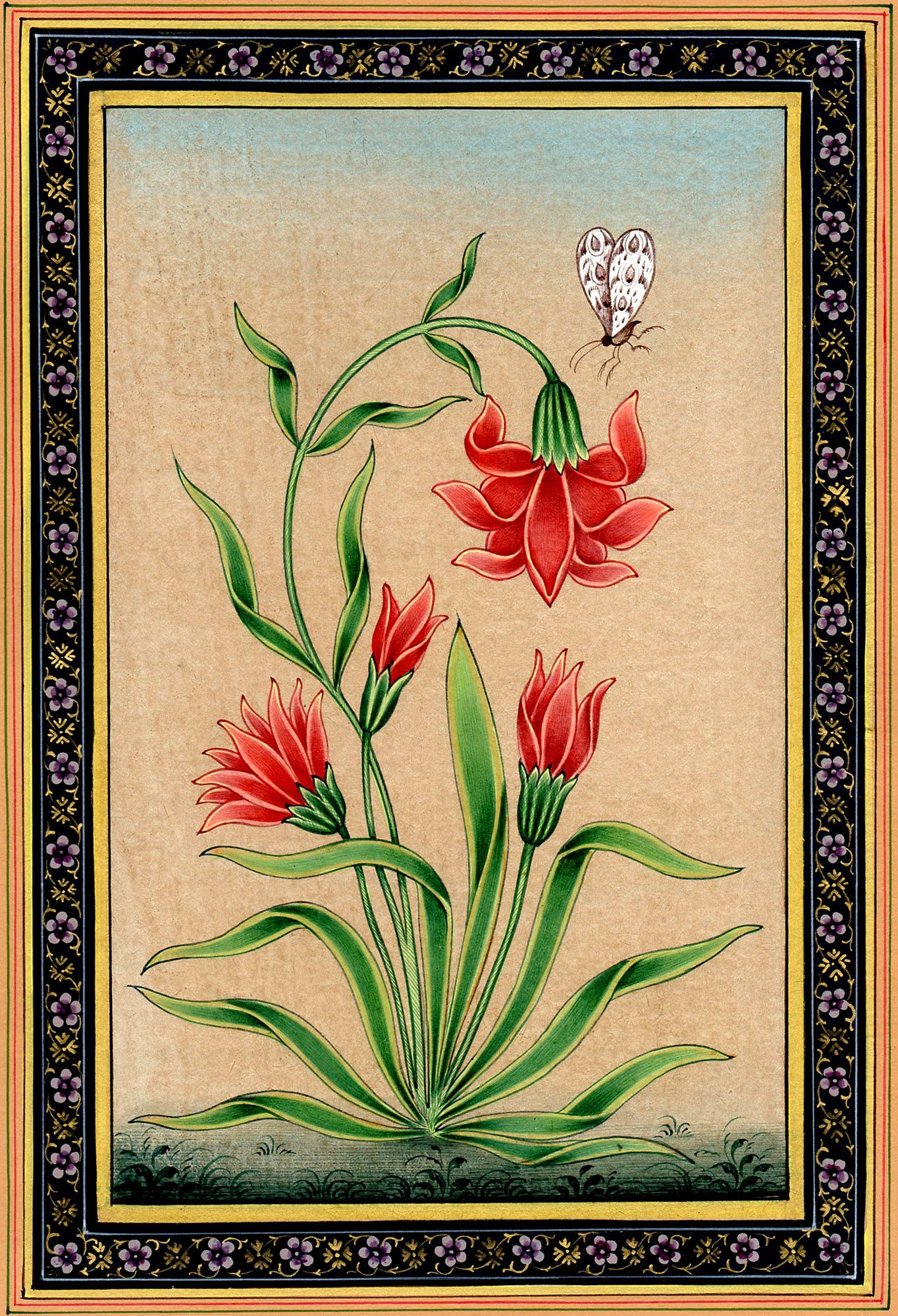 Mughal Flower With Butterfly | Mughal Paintings, Mughal Miniature ... with