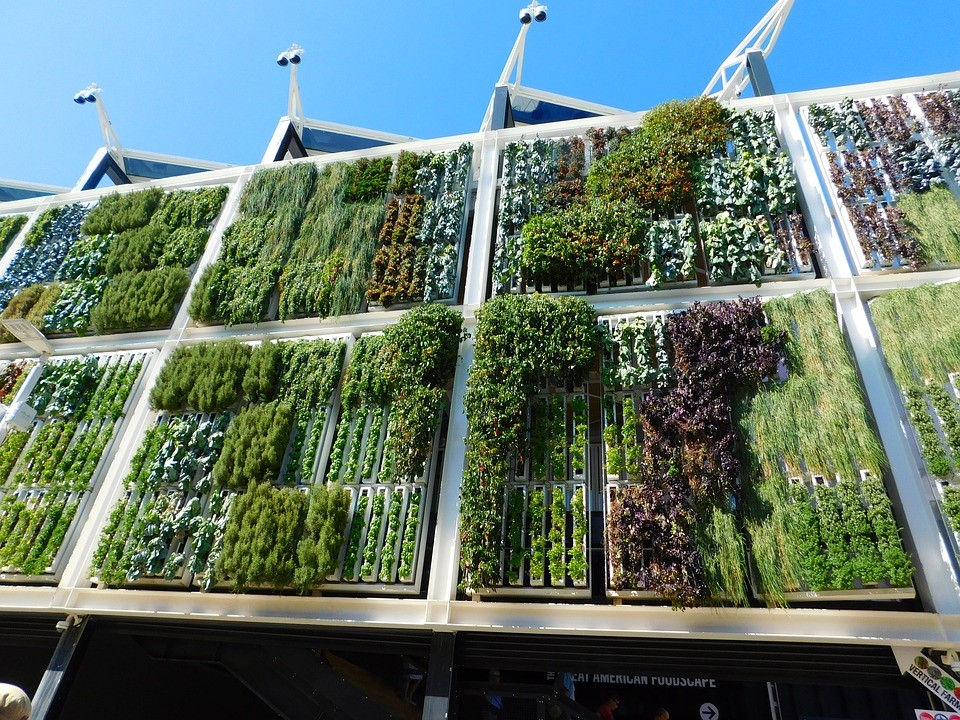 16 Vertical Garden Concepts To Jazz Up Your Urban Home - Decor + Design ... throughout Unlocking Outdoor Beauty Australian Vertical Gardens as Your Artistic Retreat
