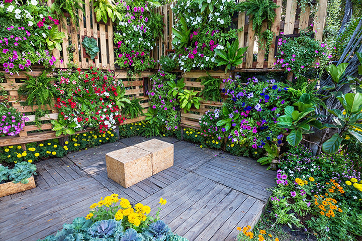 Australian Native Garden Design | Written By Ann Ross At Hive Haven within