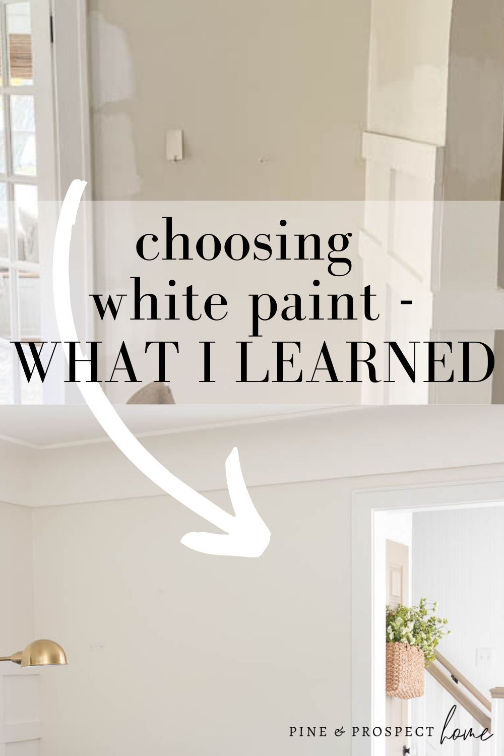 The Art and Science of Choosing the Perfect White Paint