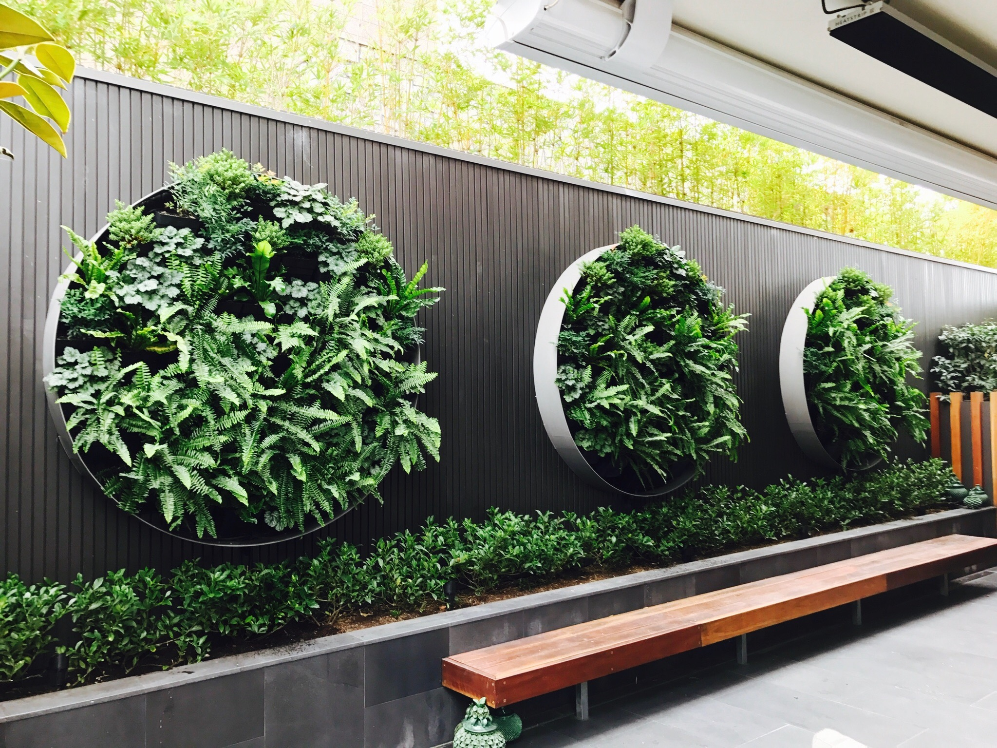 Unlocking Outdoor Beauty Australian Vertical Gardens as Your Artistic Retreat