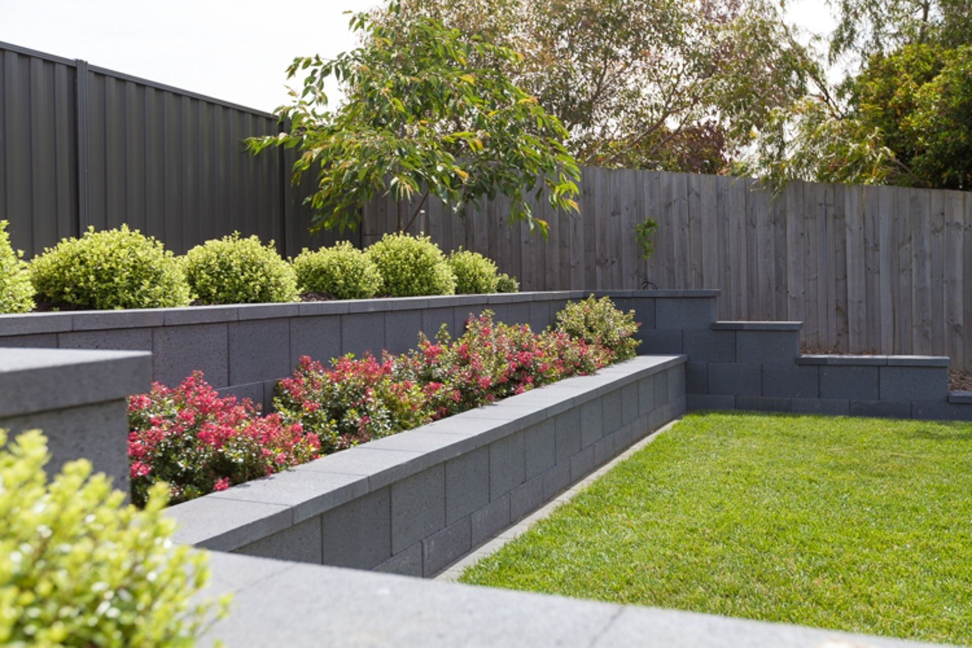 How To Cover A Concrete Wall With Plants At Terri Greaves Blog pertaining to