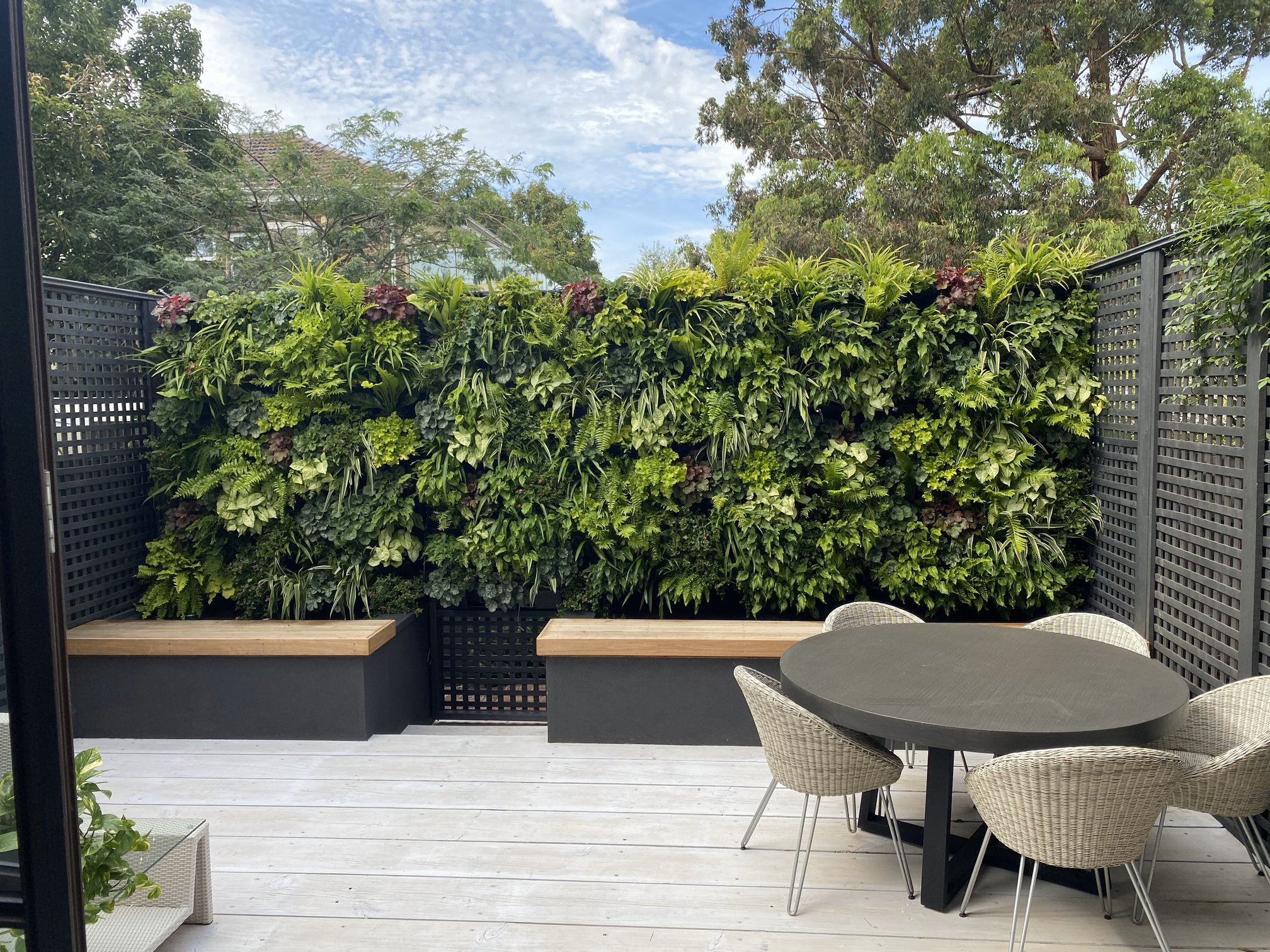 Vertical Gardens &amp;Amp; Green Walls | Vertical Gardens Australia inside Unlocking Outdoor Beauty Australian Vertical Gardens as Your Artistic Retreat