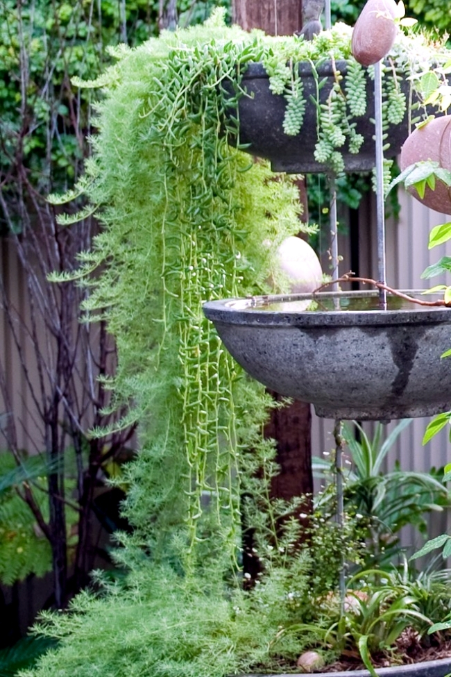 Vertical Gardens Provide A Delightful Retreat In The Backyard ... within