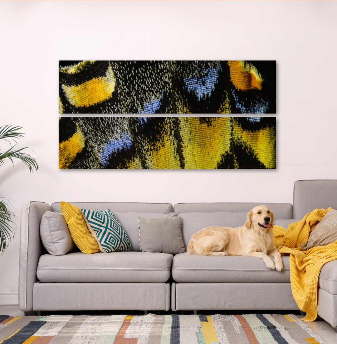 Elevate Your Space With Up Close With Nature: Butterfly Wing Closeup ... with Elevate Your Space The Secret Lives of Ordinary Objects as Art