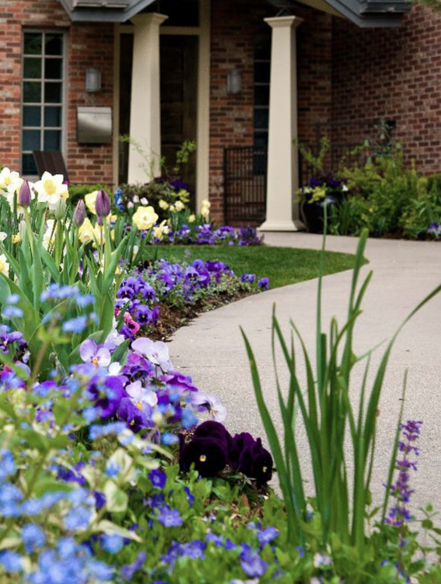Elevating Your Garden’s Appeal with Strategic Background Elements